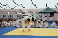 IMG_3201-2